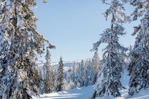 🎄 Vier een witte kerst op de piste!