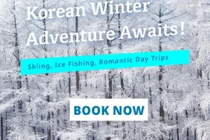 ❄️ Go Beyond Seoul This Winter!