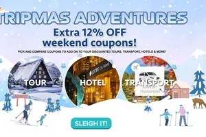 50% OFF Winter Wonderland ☃️