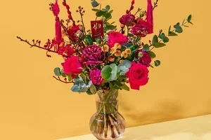 🧧 CNY Collection + 15% Off Starts!