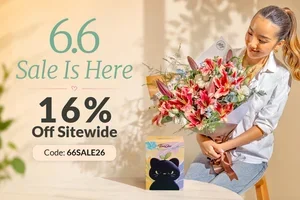 ✨ 6.6 Sale — 16% off sitewide!