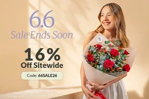 16% off sitewide — order now