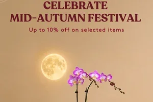 Celebrate Mid-Autumn with Up to 10% Off 🌙