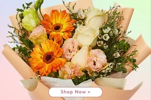 Mid-Year Bloom Sale: 12% Off Everything