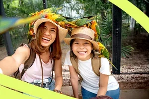 Welcome to Pelago! Discover & book unique experiences today