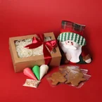 Santa's Favourite DIY Cookie Kit