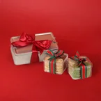 Santa's Bento Cookie Box