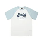 Vintage Logo Raglan T-Shirt - Grey/Blue