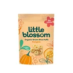 LITTLE BLOSSOM RICE PUFFS PUMPKIN 40G