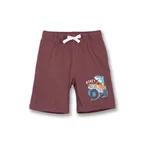 Poney Boys Purple Shark In A Monster Truck Bermuda