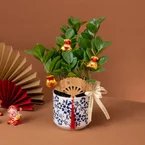 Evergreen Fortune – Table Garden