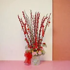 Willows of Abundance