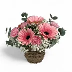 Sugar Petals