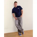 AE Standard Fit Graphic T-Shirt